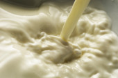 Najavljena nestašica mleka u Crnoj Gori: Dve sušne godine, porasla cena inputa...