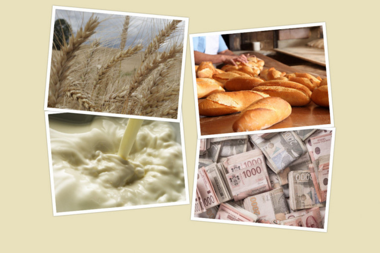 Vučić najavio zabranu izvoza pšenice!