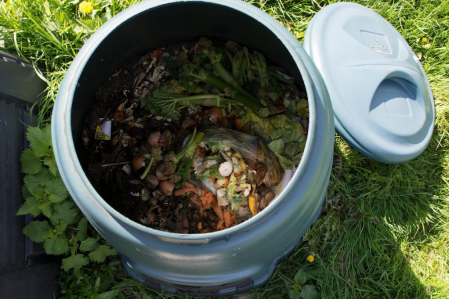 Statistika šokira - dnevno se u Srbiji baci 2.000 tona hrane: Ovo je plan za smanjenje otpada