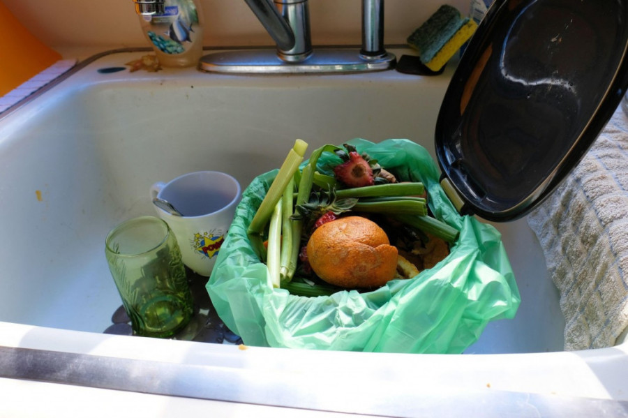 Statistika šokira - dnevno se u Srbiji baci 2.000 tona hrane: Ovo je plan za smanjenje otpada