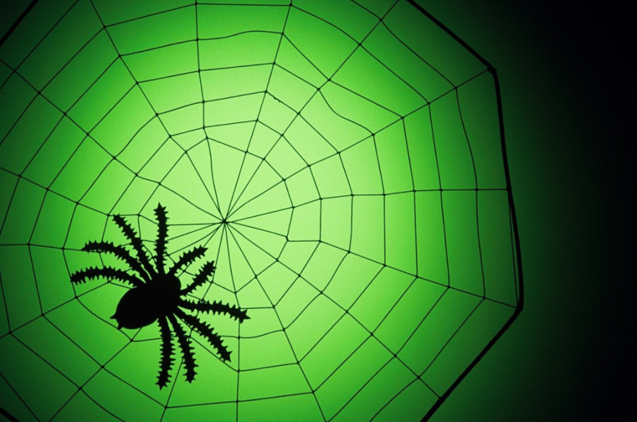 Oni znaju kako da pletu mrežu! Od fobije do filmskih hitova