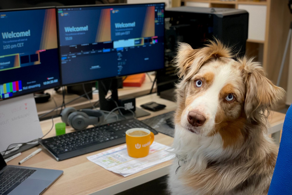 Zaposleni koji mogu da dovedu svog psa na posao su pod manjim stresom i produktivniji su tokom radnog dana