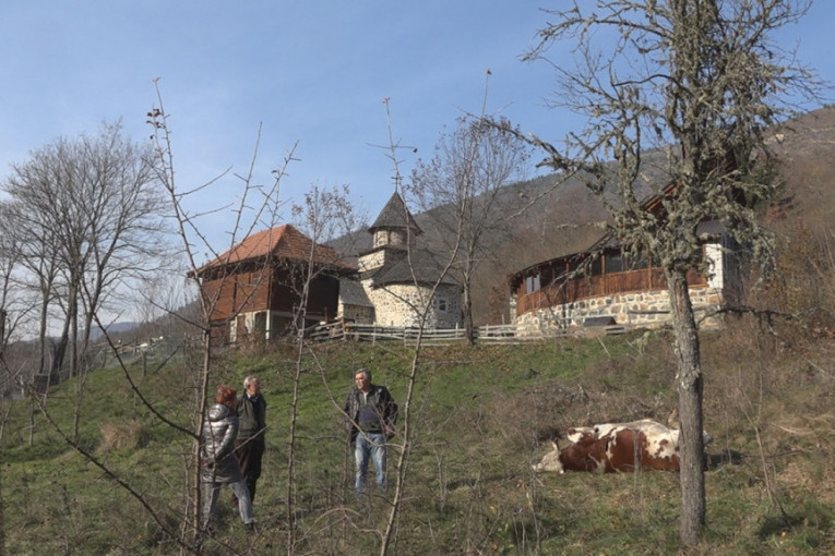 Užas kod Priboja: Muškarac iz pištolja upucao bika i kravu kod manastira Uvac (FOTO)