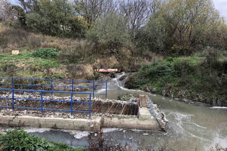 Ekološka katastrofa na Voždovcu: Kumodraški potok nekada pun života danas pun fekalija (FOTO/VIDEO)