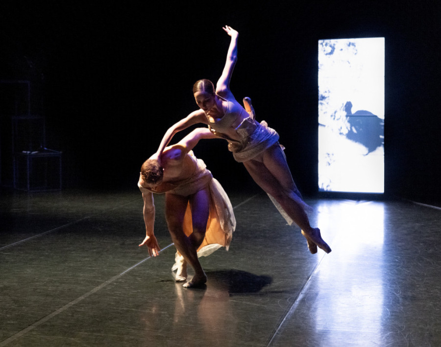 Sofisticirana igra do krajnjih telesnih granica: Velika zainteresovanost za predstave Jakopa Godanija u Madlenianumu