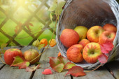 Od simbola ljubavi i plodnosti do razdora: Jabuke igraju važnu ulogu u kulturama sveta