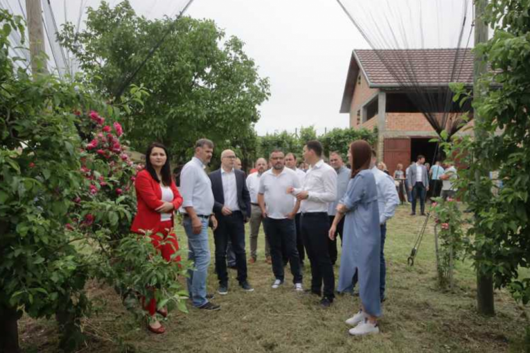 24SEDAM NOVI SAD Vučević, Nedimović i Božić posetili poljoprivredna gazdinstva u Кaću i Futogu