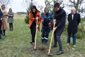 Sombor dobija 1.500 novih bagrema: Sadnji se priključili ministarka ekologije i gradonačelnik Sombora (FOTO)