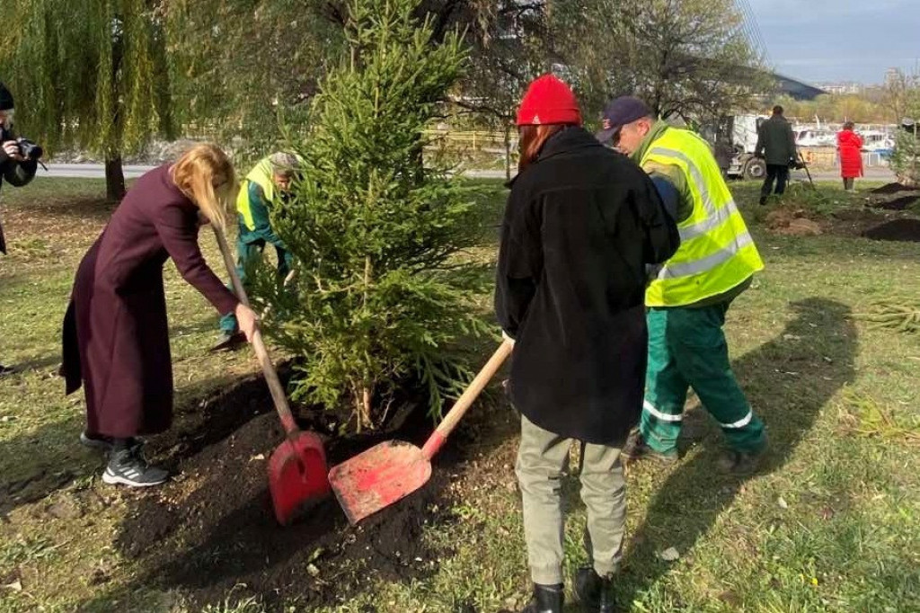 Posađena nova stabla kod Mosta na Adi i u parku "Ušće"