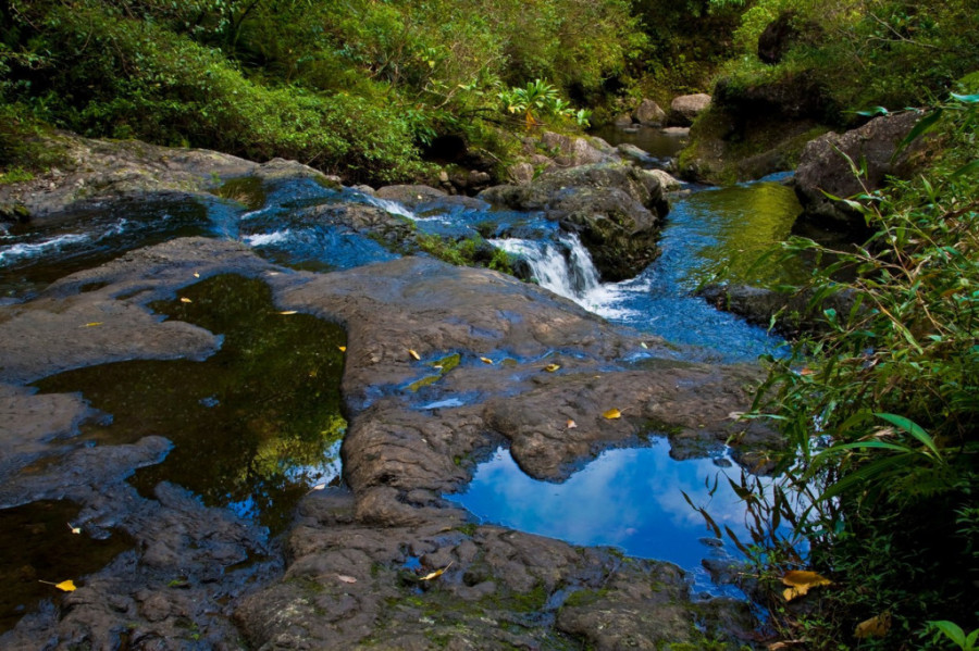 Verovali ili ne, na svetu postoji mesto kroz koje teče pijani potok