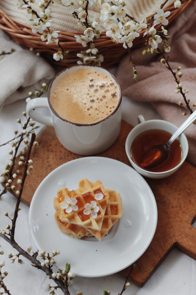 Sirup od agave jedna je od zdravih alternativa šećeru, ali da li je zaista toliko zdrav?