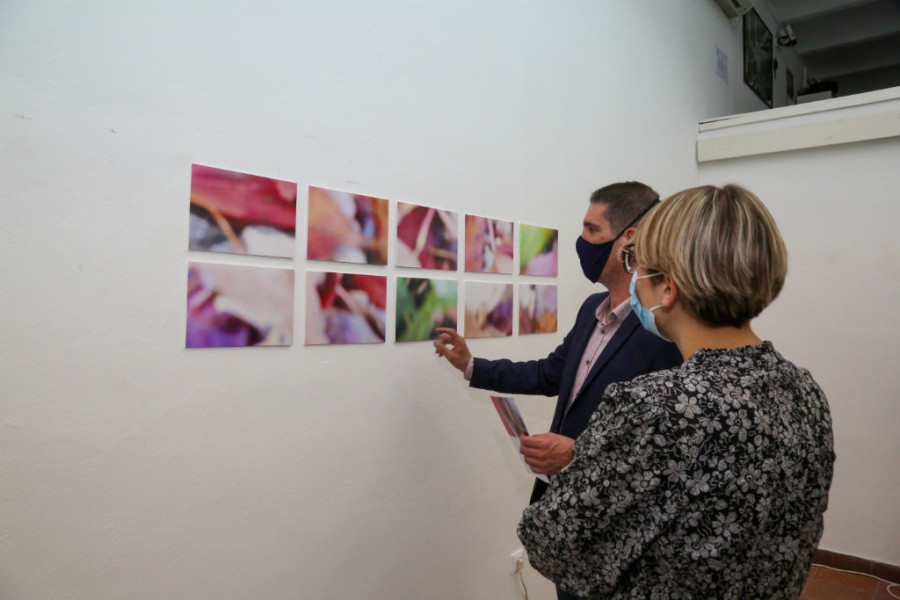 24SEDAM KIKINDA Kulturni život u ovom gradu ponovo buja