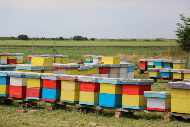 24SEDAM KIKINDA Kontinuirana podrška pčelarima, nova oprema stigla u Banatsku Topolu