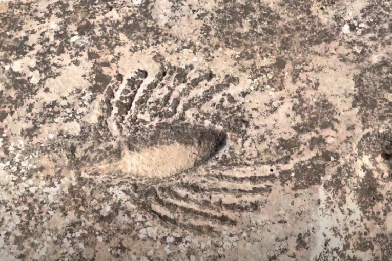 Misteriozni simboli pronađeni usred pustinje: Urezani su u kamenu, a istraživači su samo jedno uspeli da odgonetnu (VIDEO)