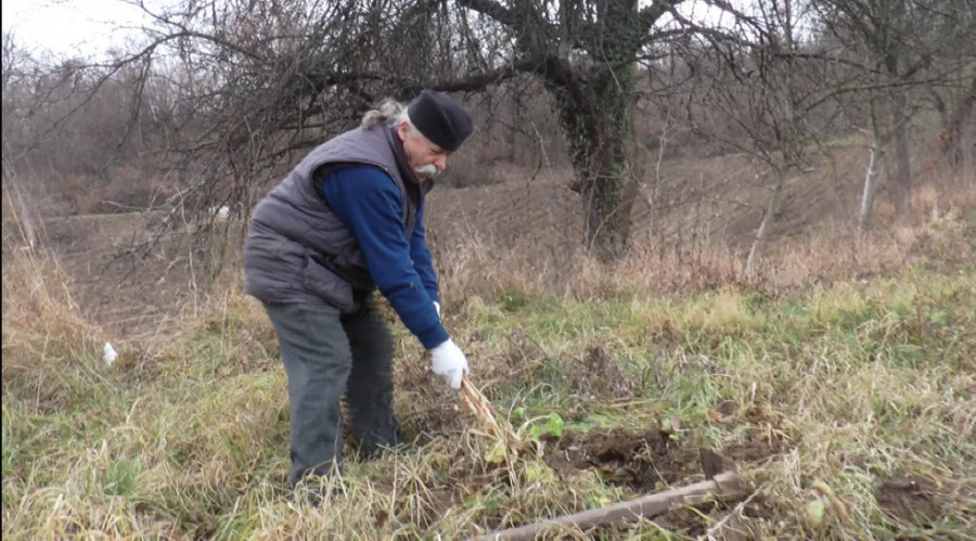 Srbima se smeškaju masna hrana i alkohol na svakoj svadbi: Narodna medicina za pijanstvo ima najbolji lek - skriven u buretu (FOTO)