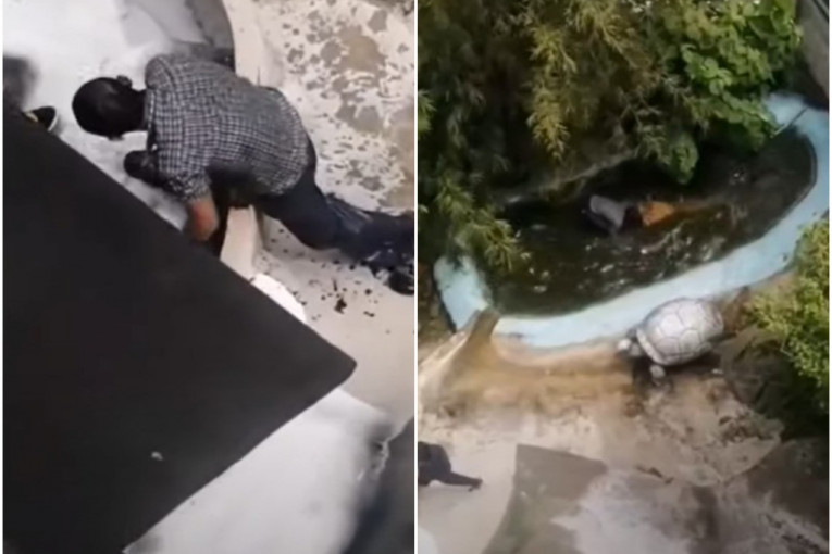 Turista slikao selfi, pa ga napao krokodil od 4 metra i odvukao u vodu! (UZNEMIRUJUĆE)