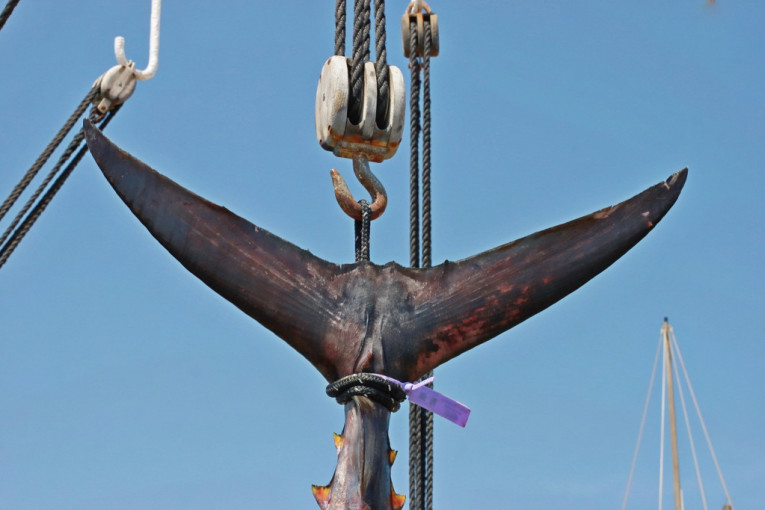 Anđelka ulovila džinovsku tunu! Crnogorka savladala grdosiju od 266 kilograma