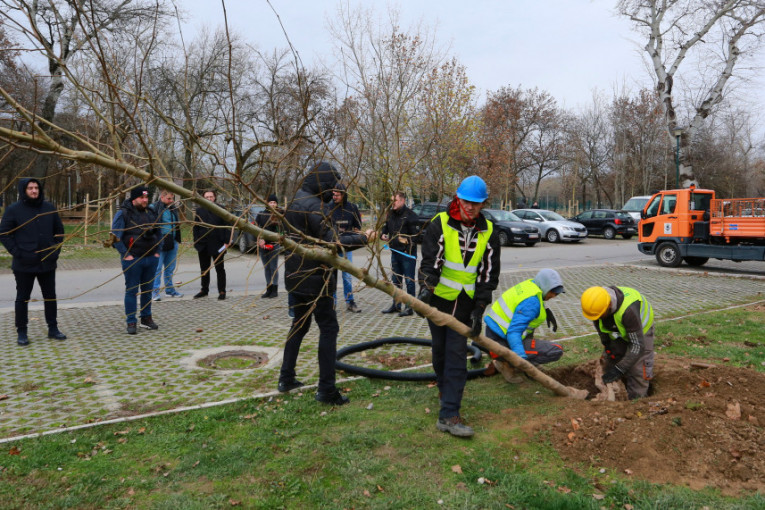 Akcija pošumljavanja grada: Ada Ciganlija dobila 60 novih sadnica (FOTO)