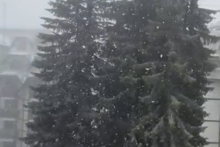 Pao je prvi sneg: Veje na Kopaoniku, a uskoro stiže i u niže predele (VIDEO)