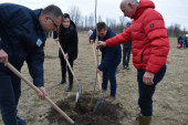 Ministarka Vujović u akciji pošumljavanja Vojvodine: U Srbobranu zasađeno 4.500 novih sadnica