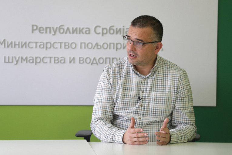 INTERVJU Branislav Nedimović, ministar poljoprivrede, o ceni hleba, ulja i mesa, ali i o e-agraru i GMO u Srbiji (VIDEO)