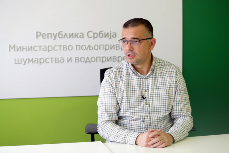 Grad pogodio Vrnjačku banju i Kragujevac: U toku je procena štete