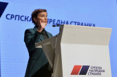 Brnabić: Imamo prijatelje i partnere, ali u Srbiji i o Srbiji odlučuju samo njeni građani