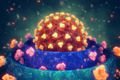 Šta do sada znamo o novom soju koronavirusa: Kako se varijante kao što je omikron razvijaju i zbog čega su zabrinjavajuće