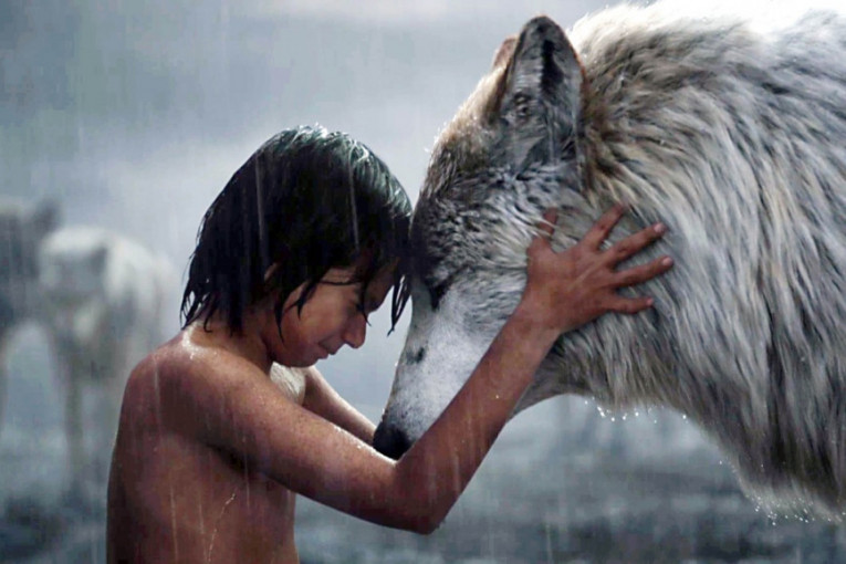 Divlja priča:  Upoznajte pravog Moglija, dečaka koga su odgajili vukovi