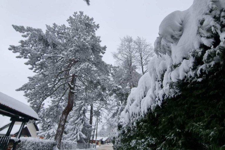 Na Žabljaku skoro 80 centimetara snega