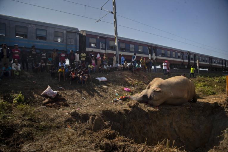 Nesrećne životinje stradale na pruzi: Brzi voz usmrtio dva slona, vlasti organizovale sahranu (FOTO)