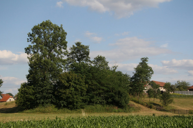 U ovom srpskom selu nalaze se grobovi Rimljana: Livada Blaškovina nekad je bila mesto gde su se sahranjivali veliki osvajači (FOTO)