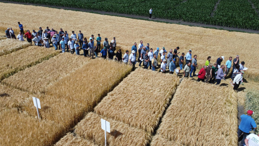 24SEDAM KIKINDA Održana tradicionalna agrarna priredba - žetva na pragu