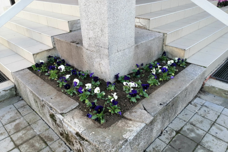 24SEDAM INĐIJA Posađeno cveće ispred Doma kulture Beška