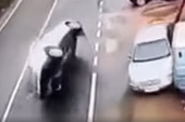 Kamere "ulovile" prevrtanje automobila kod Novog Pazara: Jedan detalj iznenadio! (UZNEMIRUJUĆ SNIMAK)