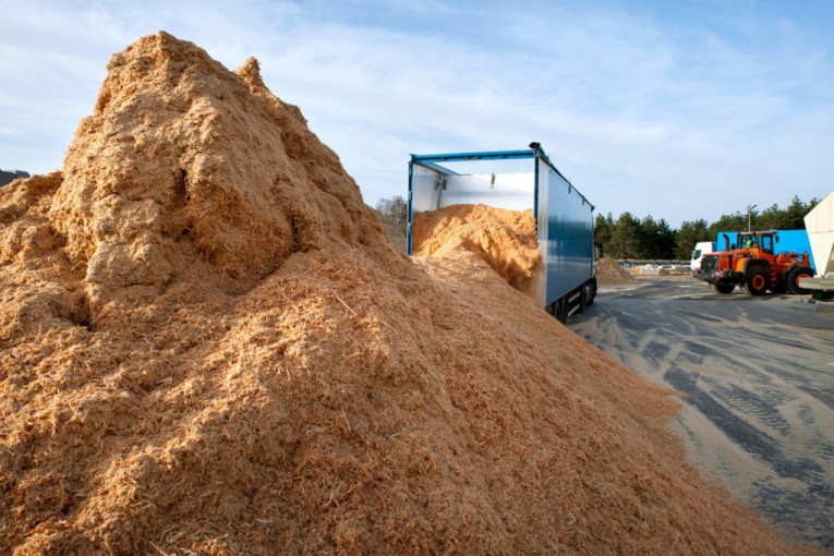 Peleta ima, a kupaca slabo: Profesor Glavonjić objašnjava zašto cene ipak ne padaju!