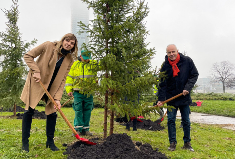 U znak sećanja na nestale u sukobu u Jugoslaviji: Zasađena 63 stabla u Parku Republike Srpske