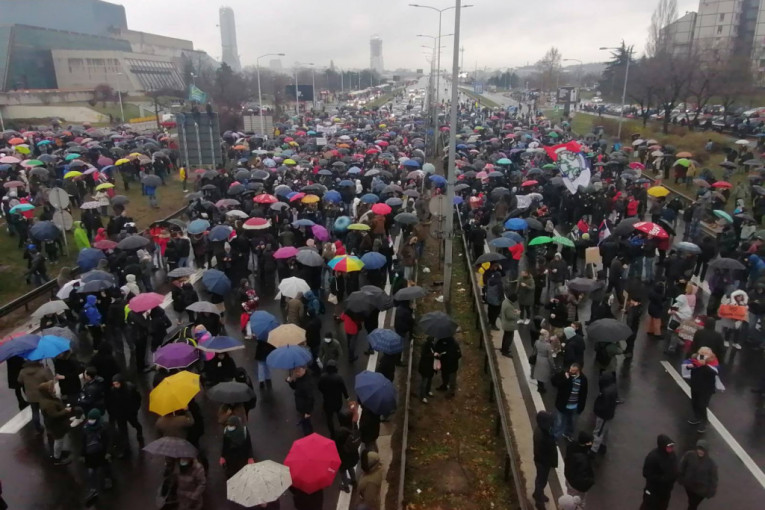 Protesti lažnih ekologa uprkos ispunjenju svih zahteva: Auto-put bio blokiran sat vremena (FOTO/VIDEO)