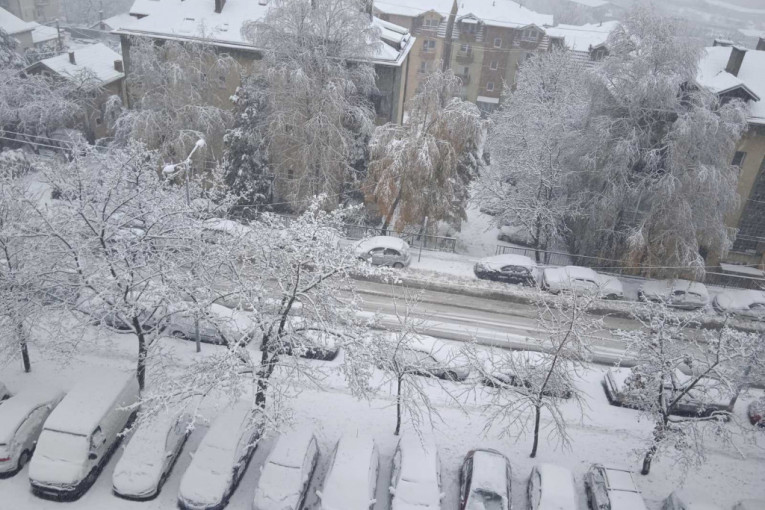 Snežna mećava u Beogradu! U višim delovima kao na planini, vejaće čitav dan! (FOTO)