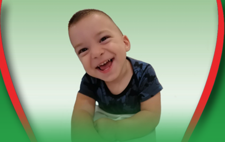 Vuku je potrebna naša pomoć da pobedi bolest: Pre nego što je napunio dve godine roditeljima saopšteno da ima cerebralnu paralizu!