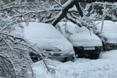 Drama kod Bijelog Polja: Drvo palo na automobil u pokretu, dve osobe povređene - jedna u teškom stanju