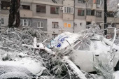 JKP "Zelenilo-Beograd" primilo više od 100 poziva zbog preloma stabala