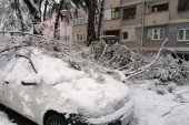 Polomljene grane Beograđanima urnisale automobile: Evo kako i od koga da naplatite kompletnu štetu