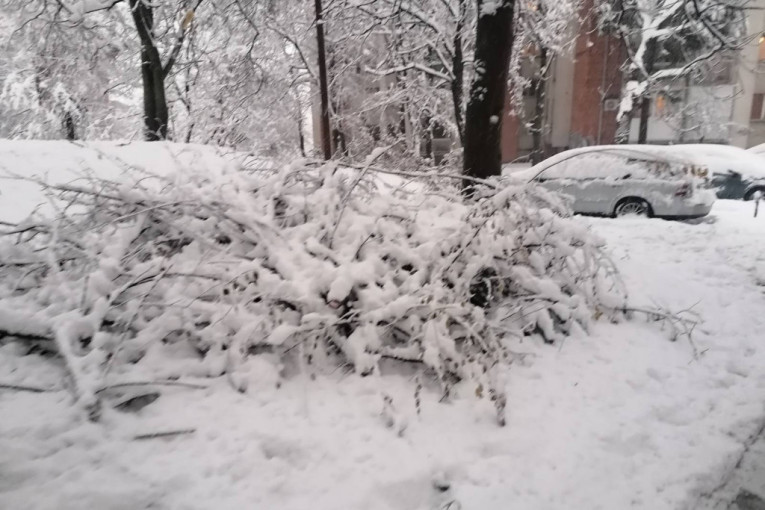 Sneg je okovao Srbiju, ali se oni ne daju: Struja ponovo u većini domova!