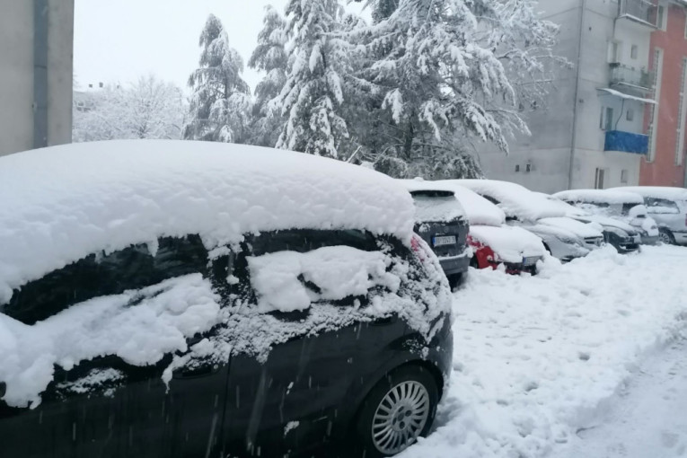 Oglasio se Batut: U Srbiji potvrđen 61 slučaj groznice Zapadnog Nila