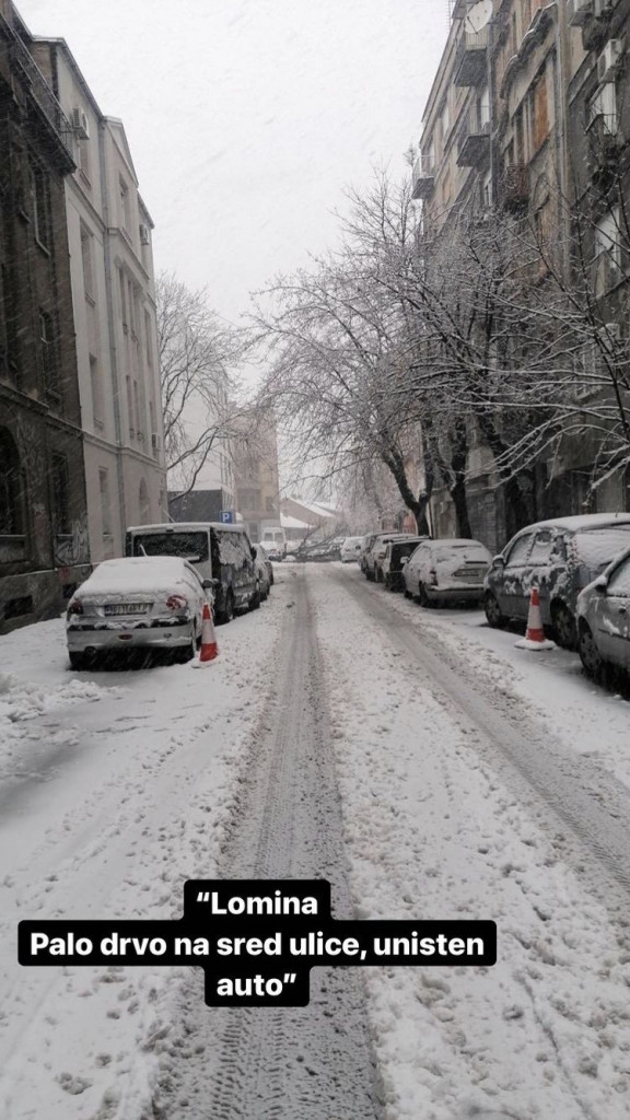 Polomljene grane Beograđanima urnisale automobile: Evo kako i od koga da naplatite kompletnu štetu