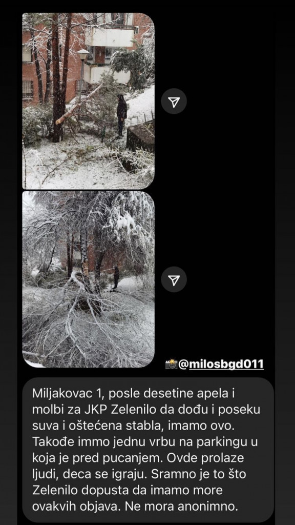 Polomljene grane Beograđanima urnisale automobile: Evo kako i od koga da naplatite kompletnu štetu