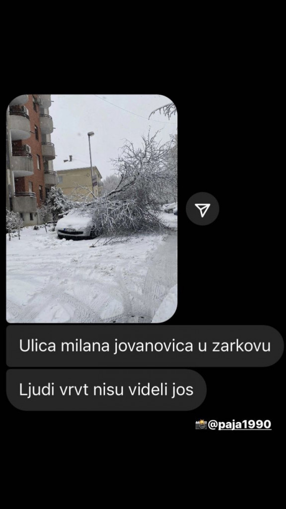 Polomljene grane Beograđanima urnisale automobile: Evo kako i od koga da naplatite kompletnu štetu
