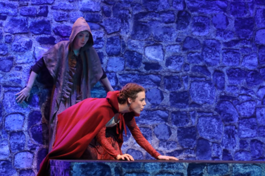 Tragična legenda o nesrećnoj ljubavi: Suze i ovacije na premijeri predstave „Bokeški d-mol“ (FOTO)