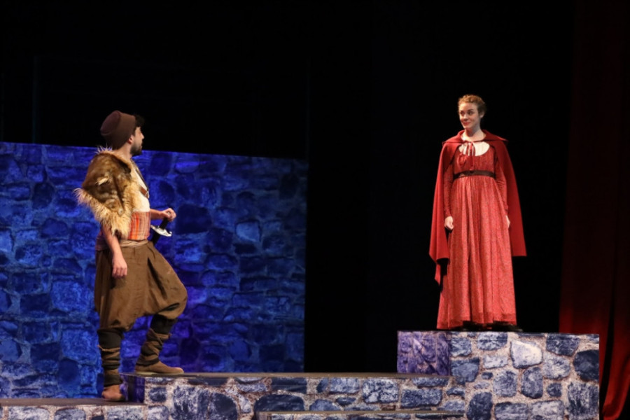 Tragična legenda o nesrećnoj ljubavi: Suze i ovacije na premijeri predstave „Bokeški d-mol“ (FOTO)